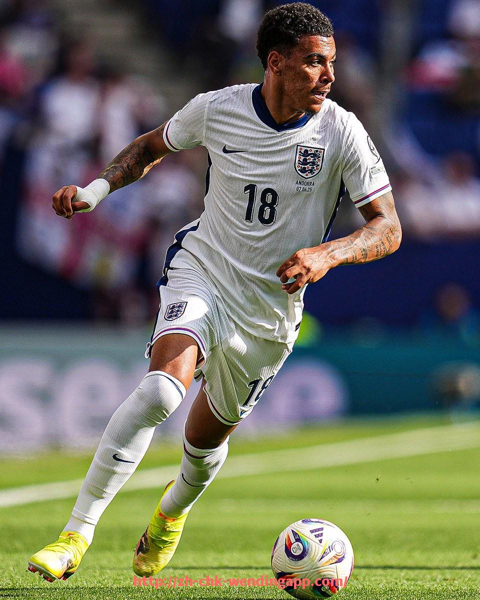 问鼎娱乐官网-法甲外援表现分析：个体贡献与团队协作的双重视角评估